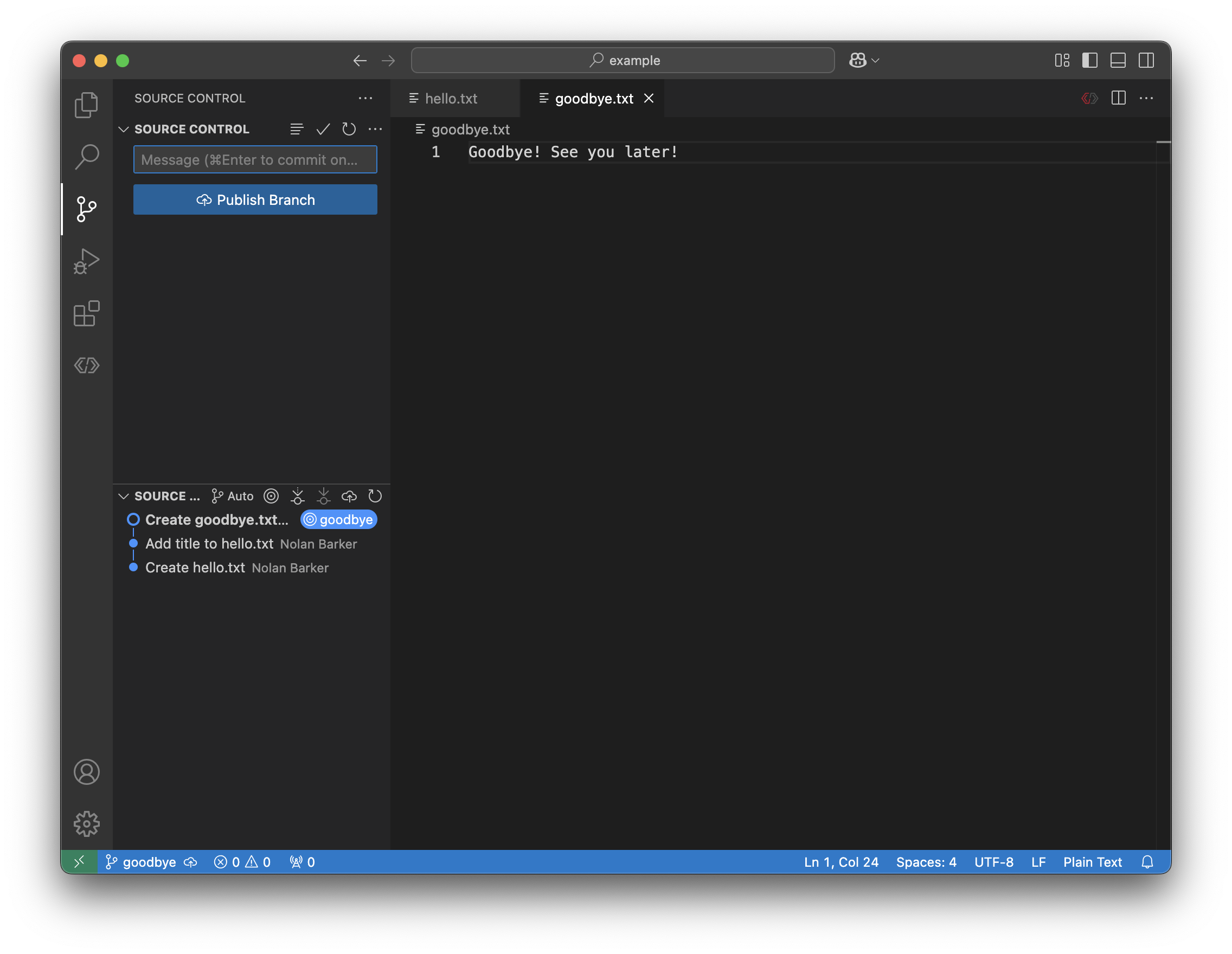 ../_images/vs_code_commit_goodbye.png